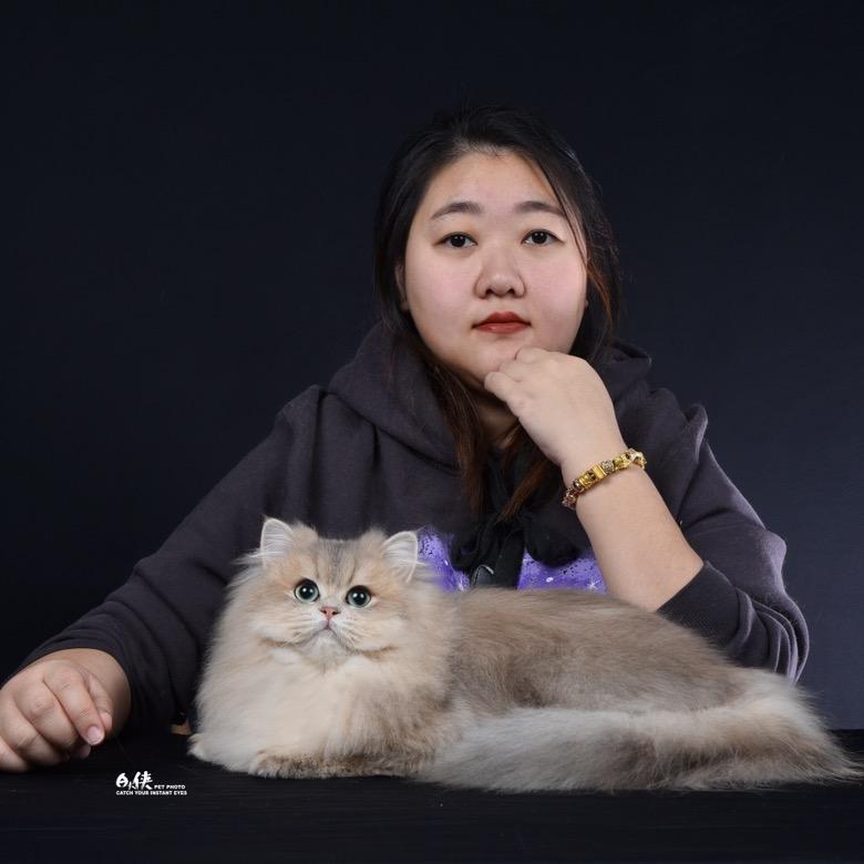 宫宠喵铺专业猫咪洗护连锁