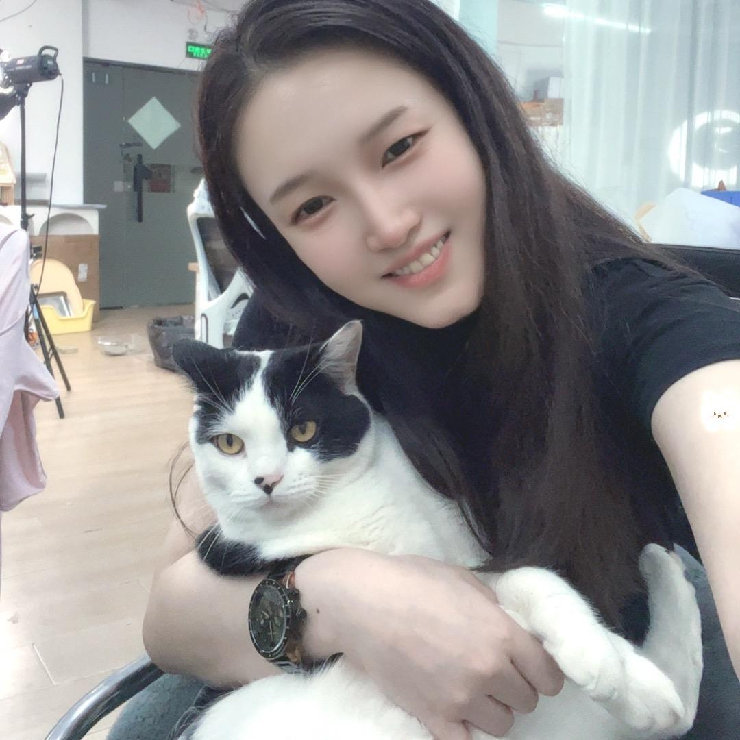 蝴蝶喵