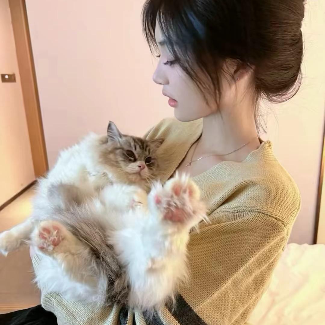 困