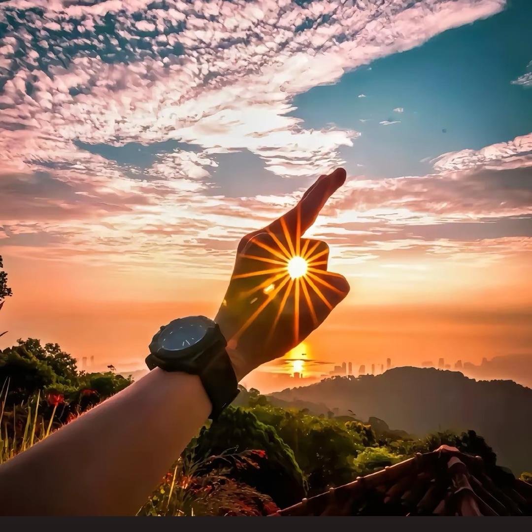 鸭副产品供应链