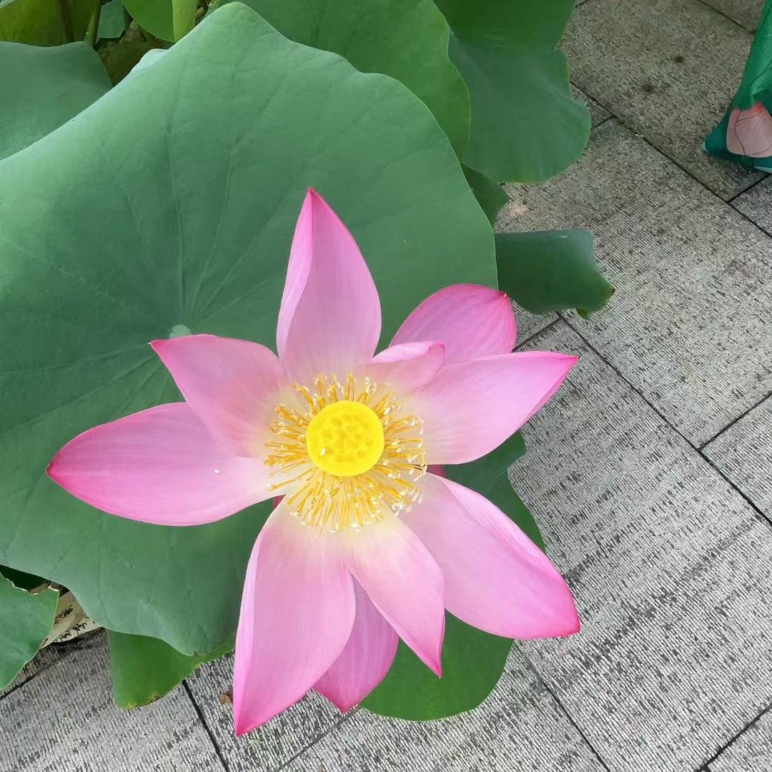 一一