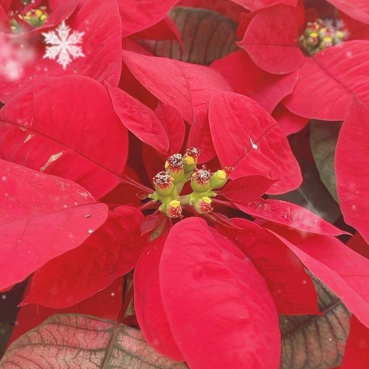 平安一生3.22.