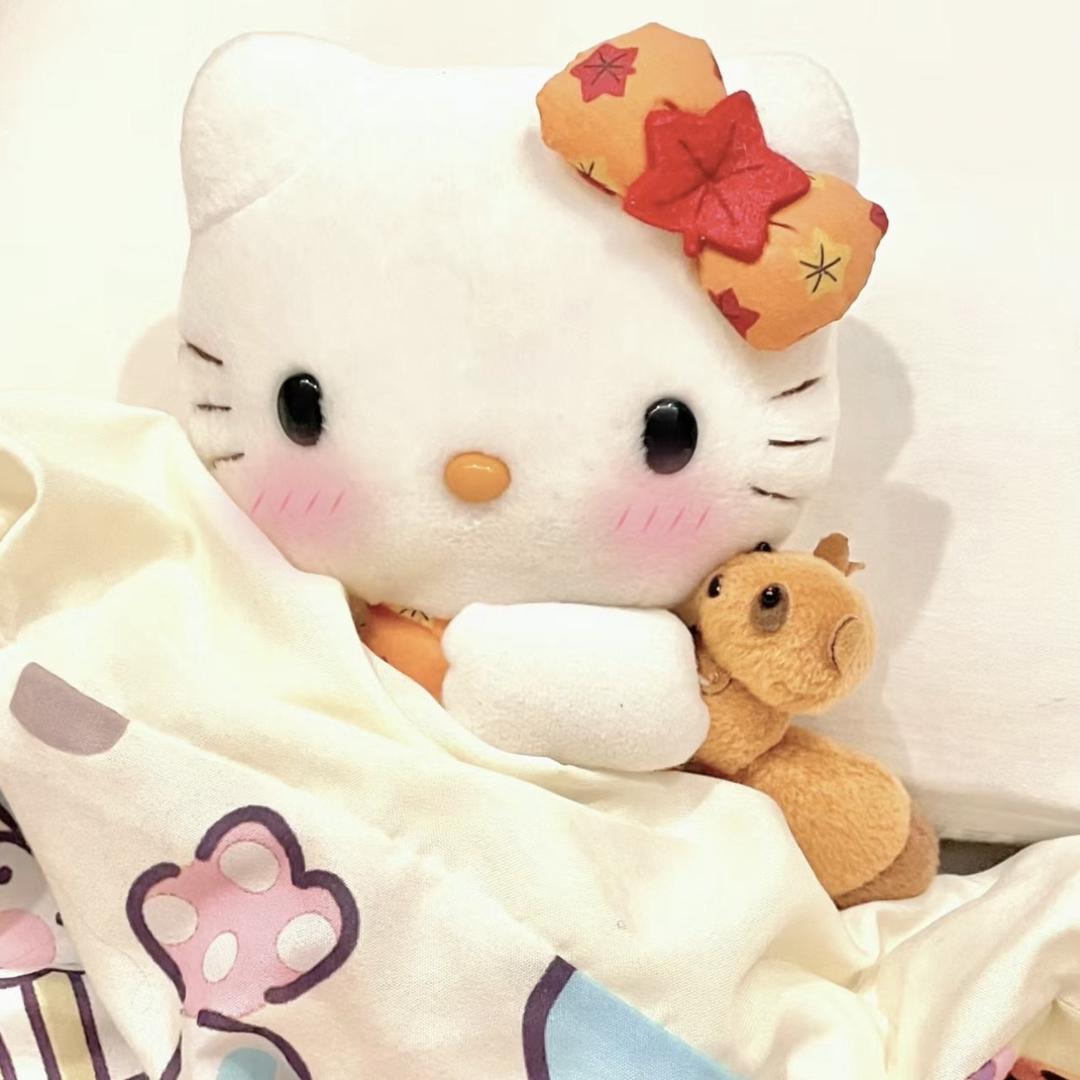 心碎小猫