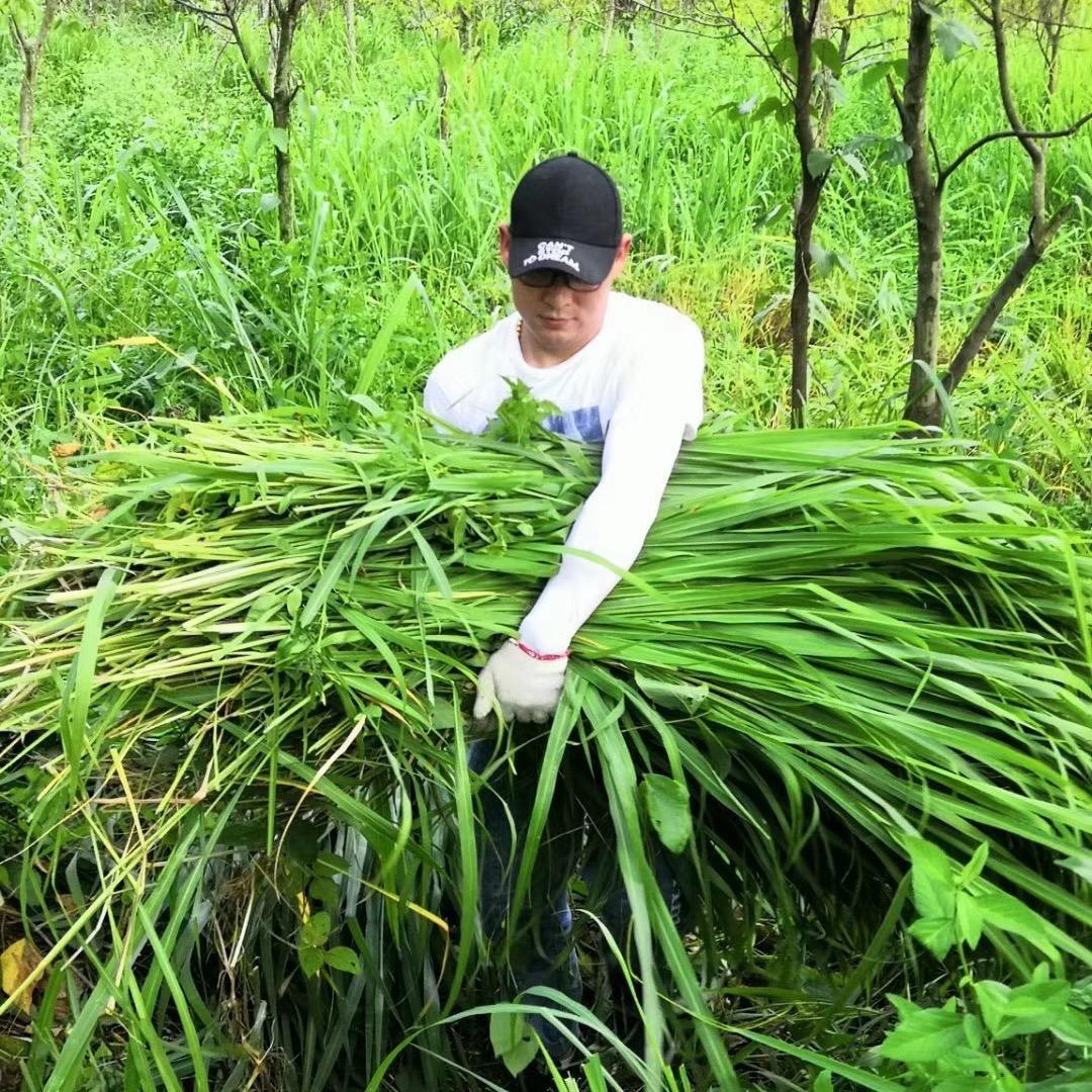 东莞市聚宝金属制品有限公司