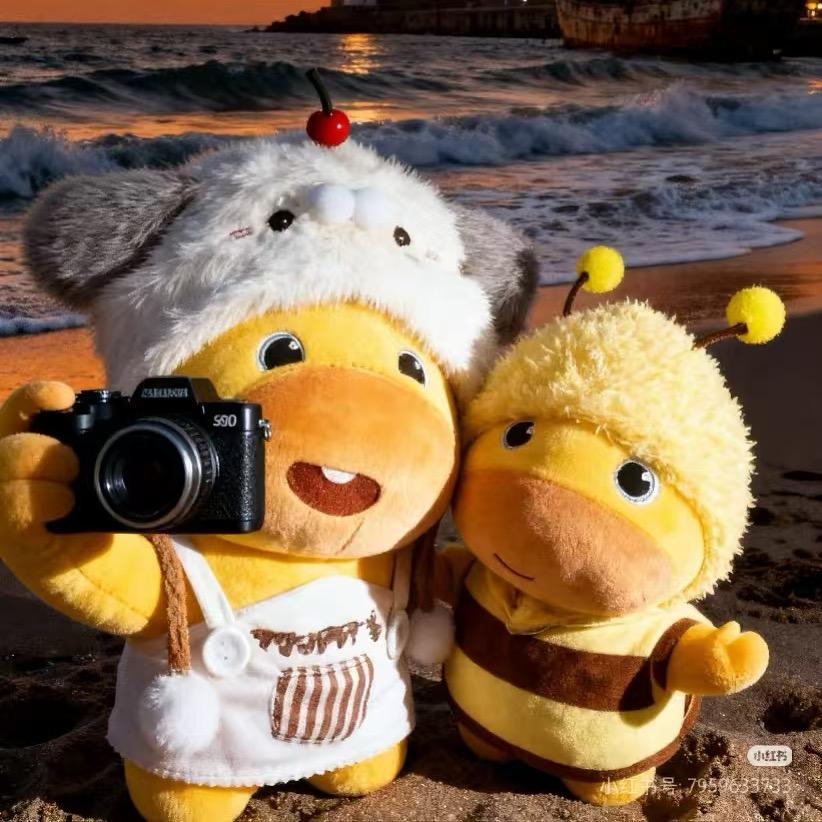 👉 苦才是人生 👈