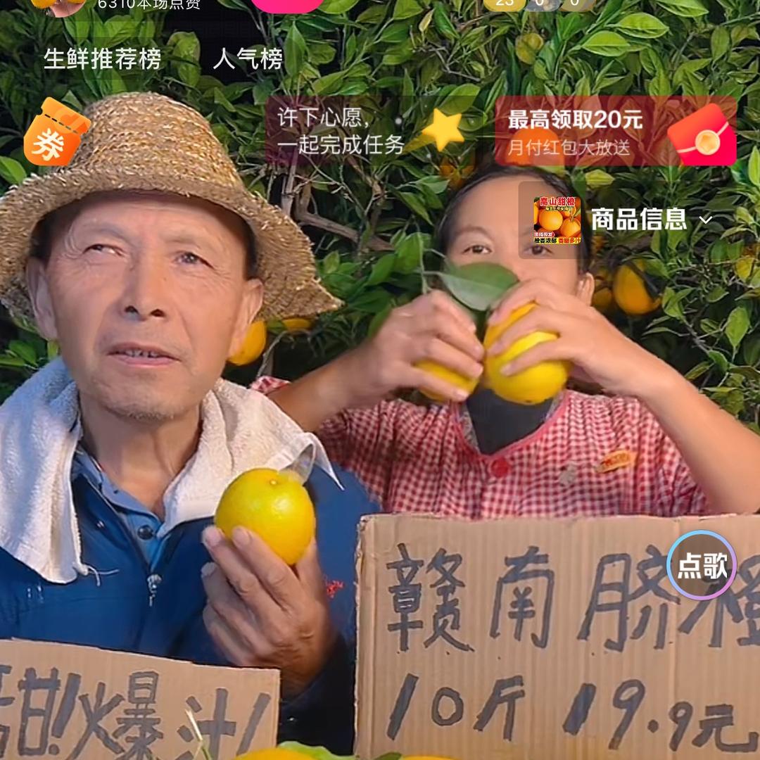 小英家的脐橙果园