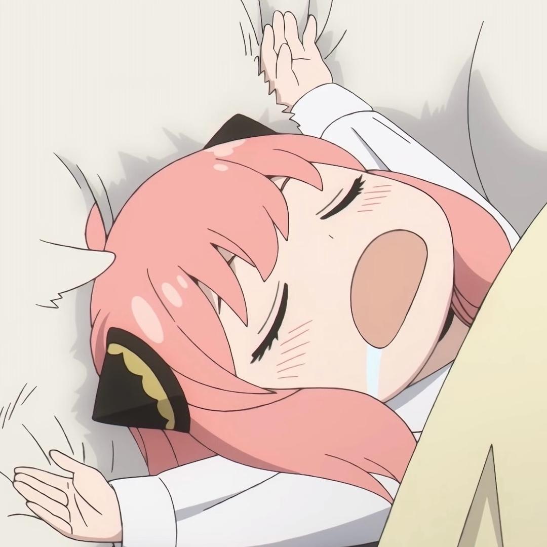Fairy💤（冬眠版）