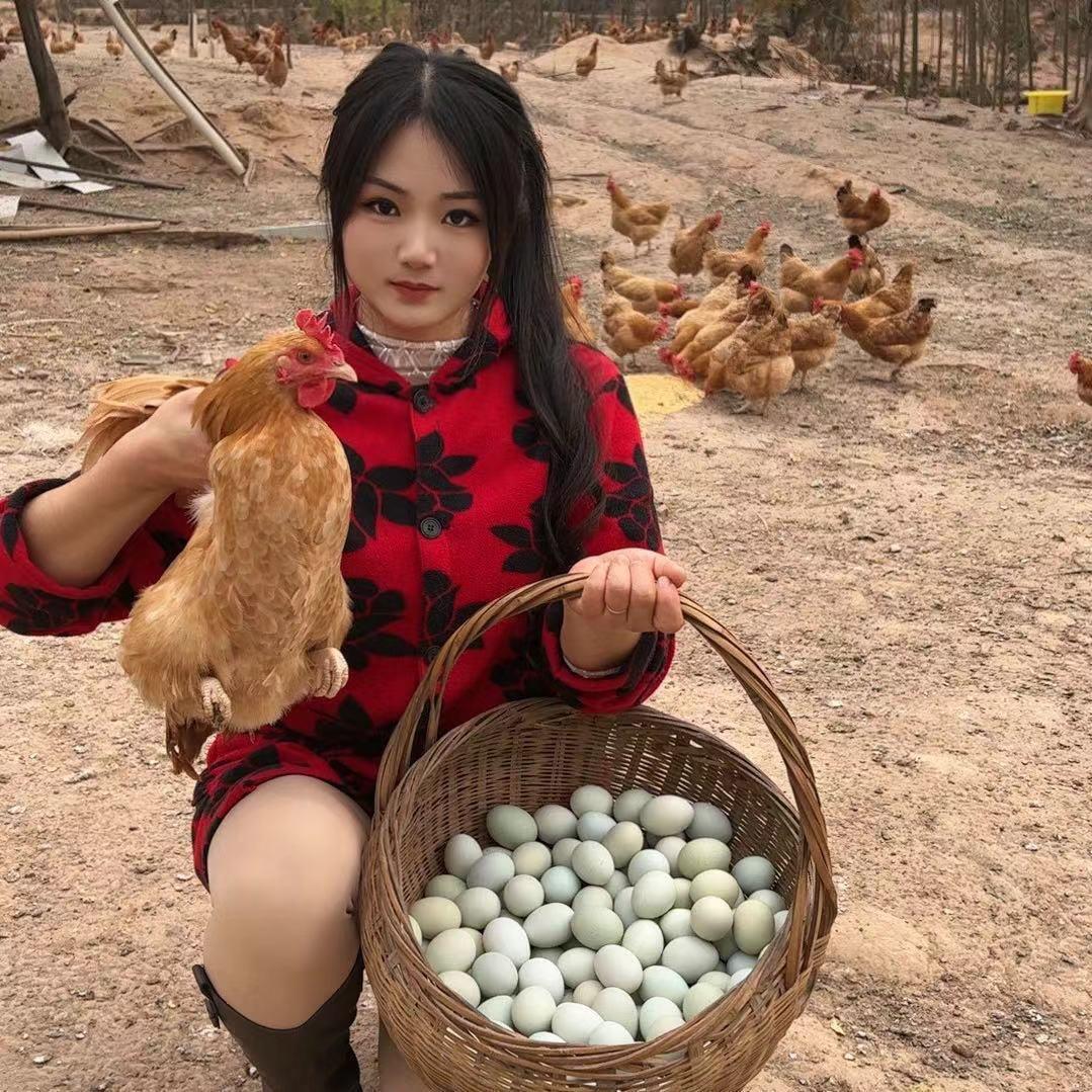 A散养土鸡（王丹）