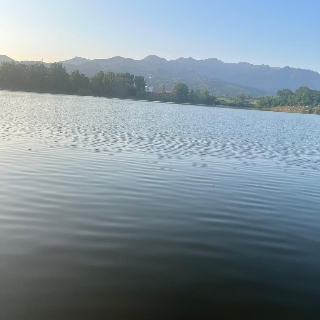 晓晓