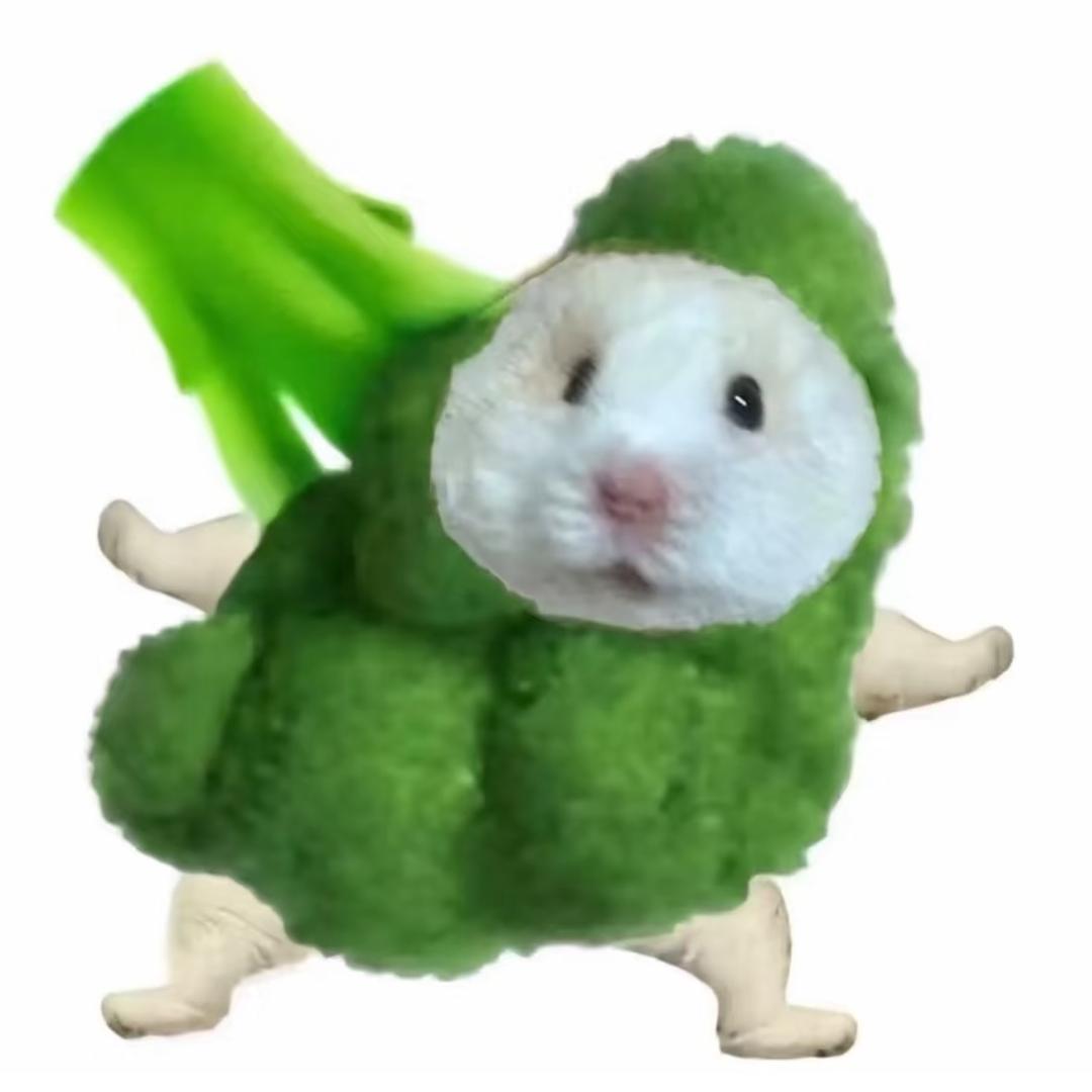 腼腆小美