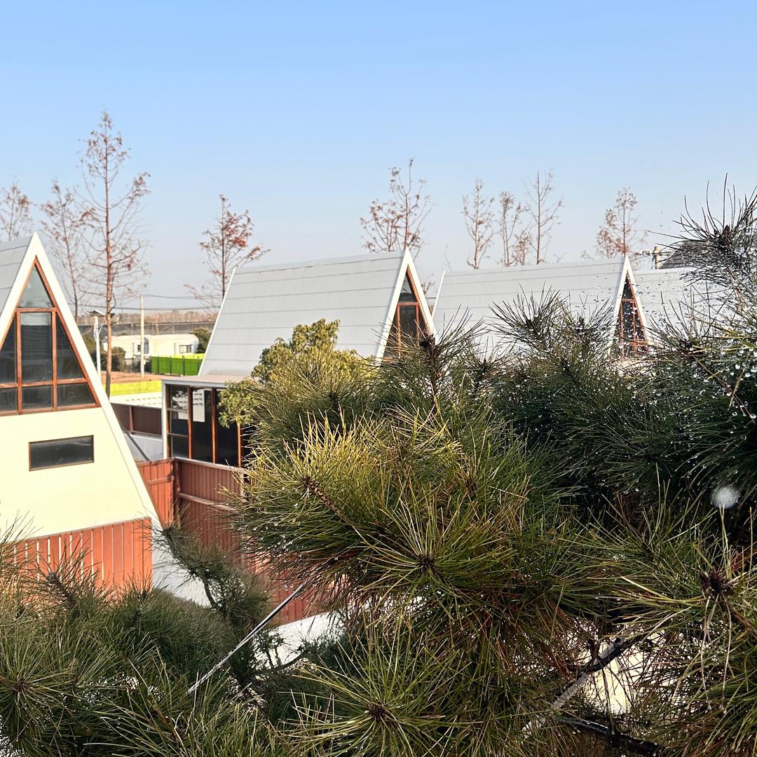 傅尔摩栖ｇོ࿐