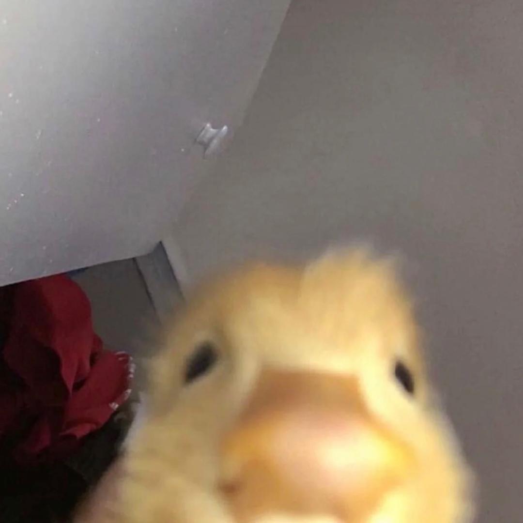曾小贤