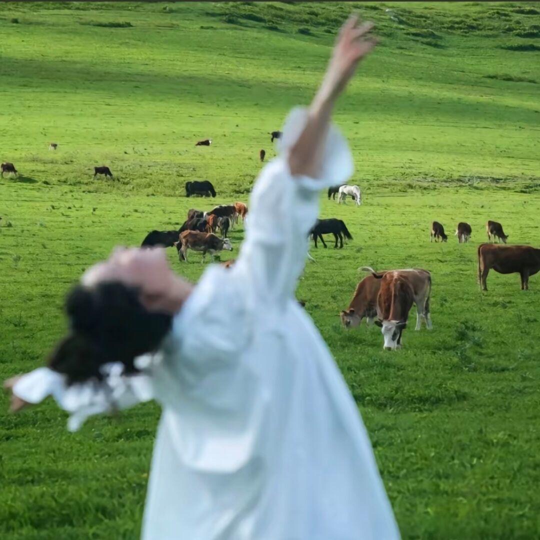 🍭是万万万呀～