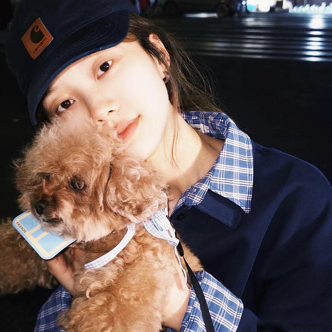 泛泛之舟（3.0版本）