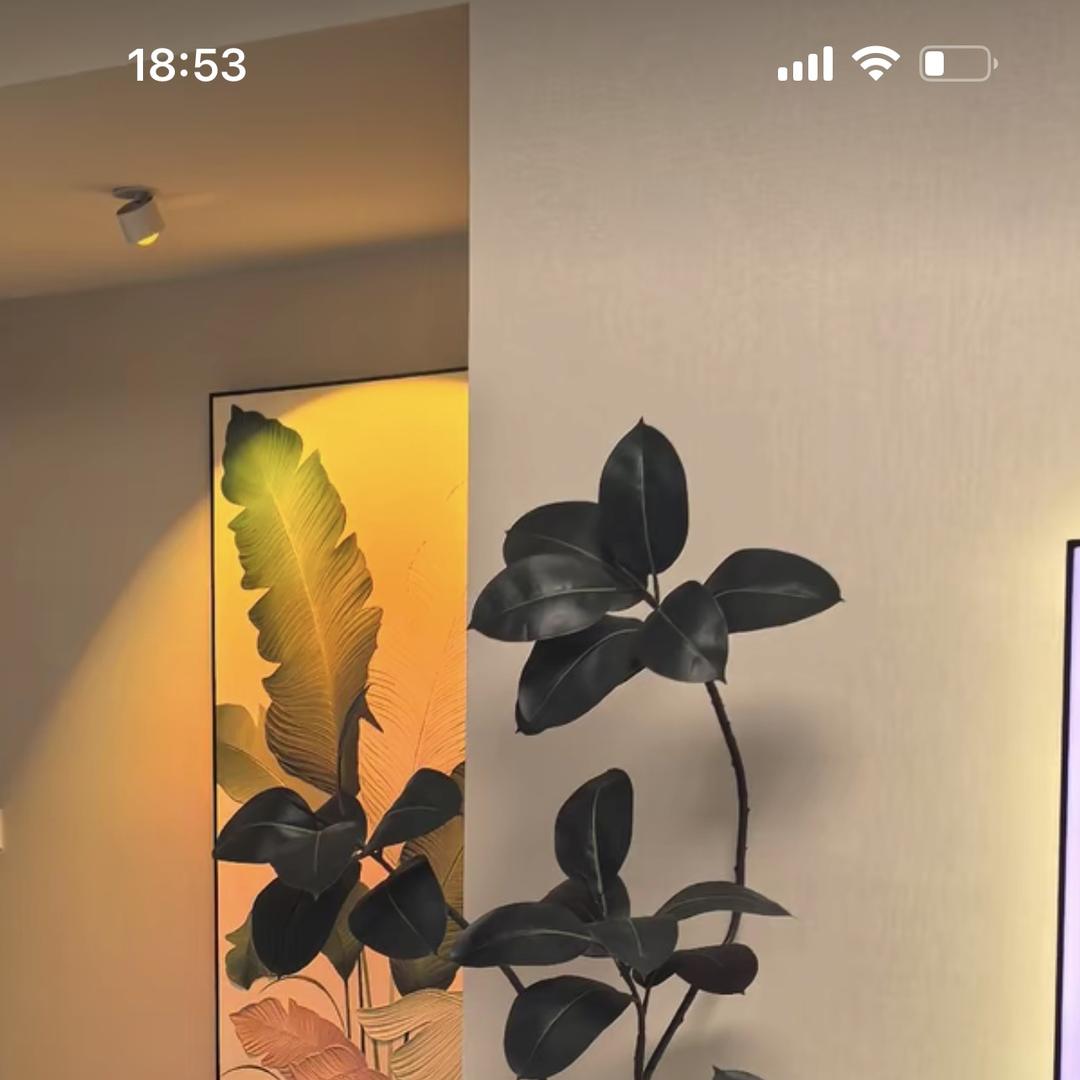 梦的角落服饰小号