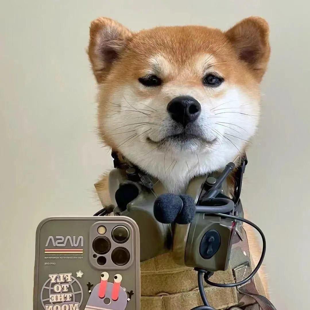 赵小伍（山河联M电竞）