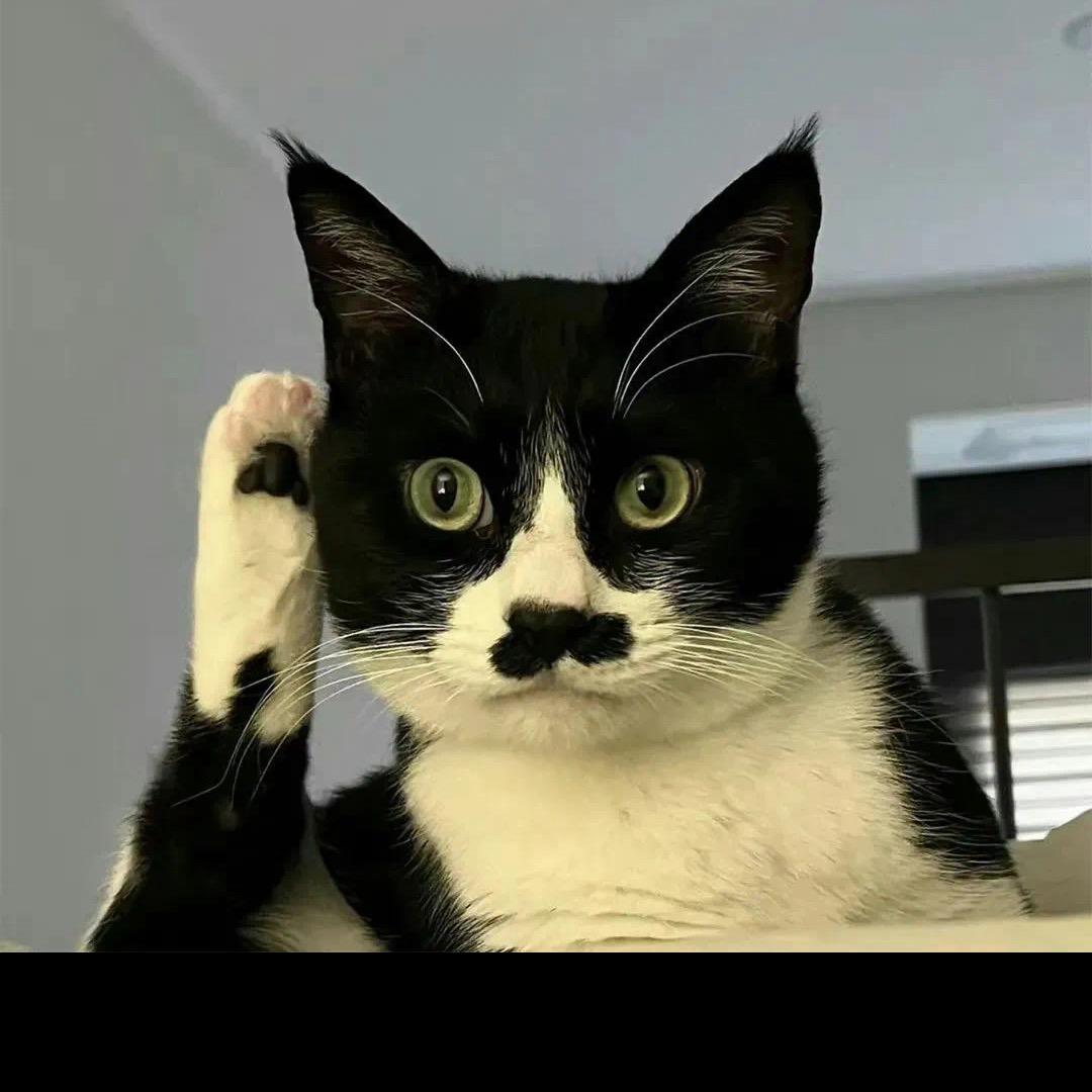 Li