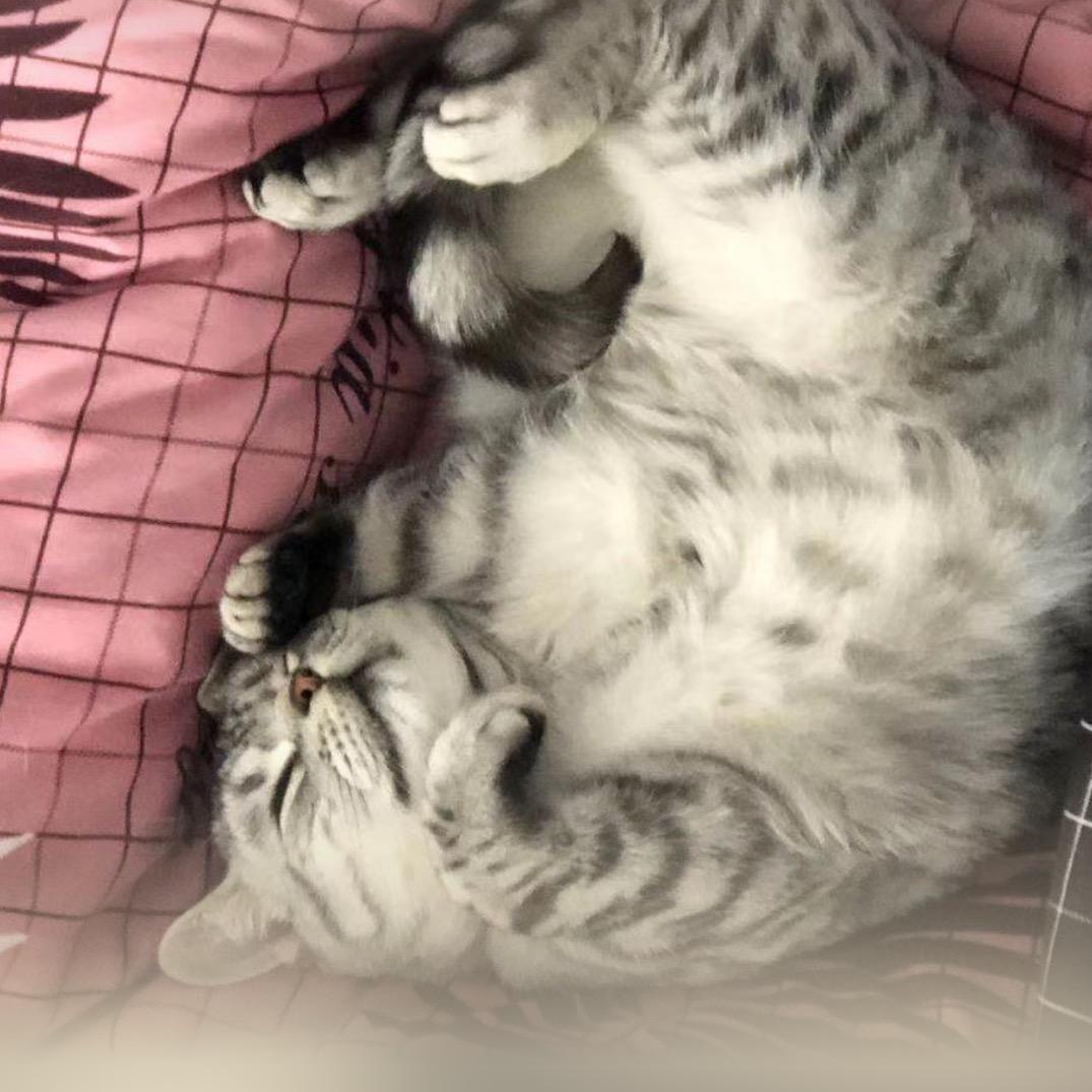 天生好命的女人