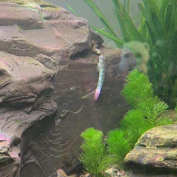 禾辰工艺品供应链