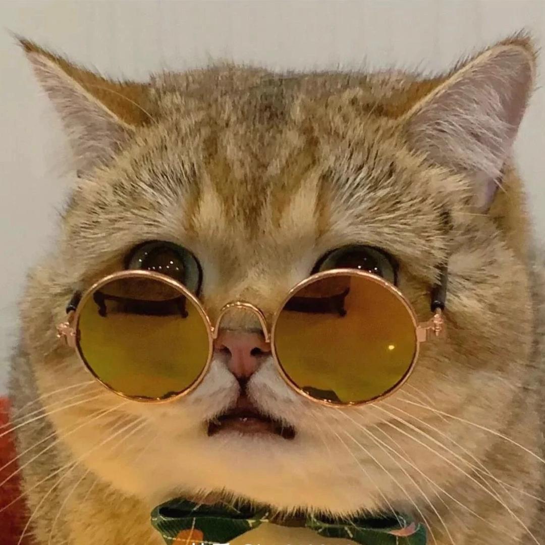 @我和我的猫都很想你