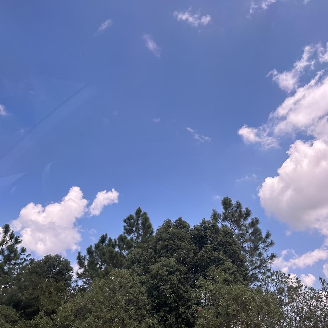 霸道菇凉最给力i