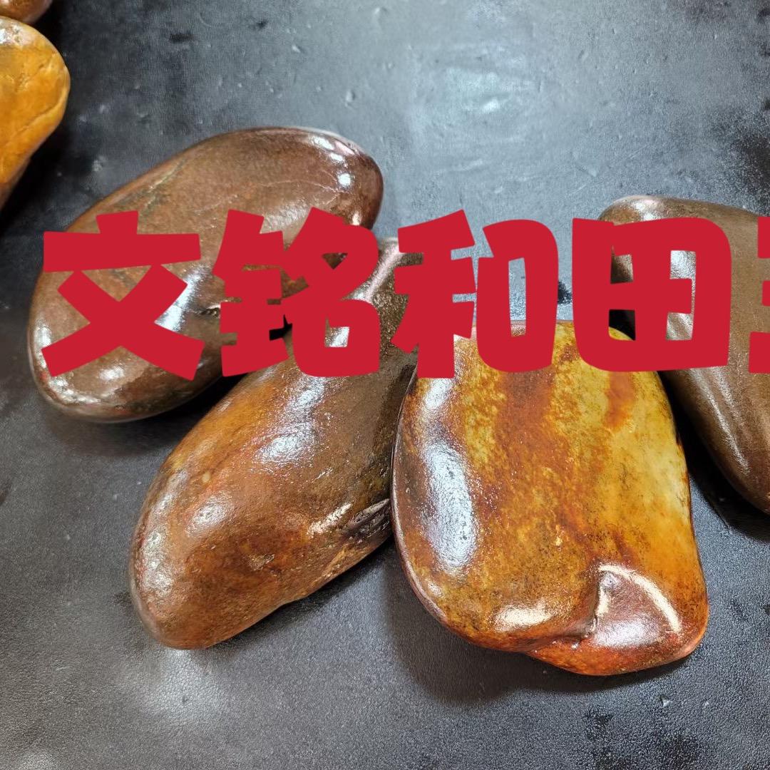 文铭籽玉
