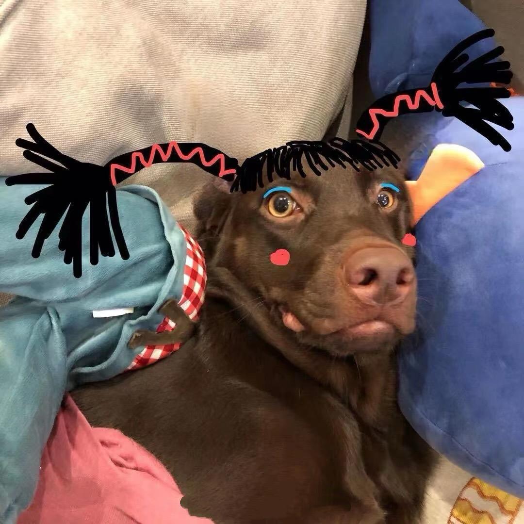 刘佳怡怡怡怡怡