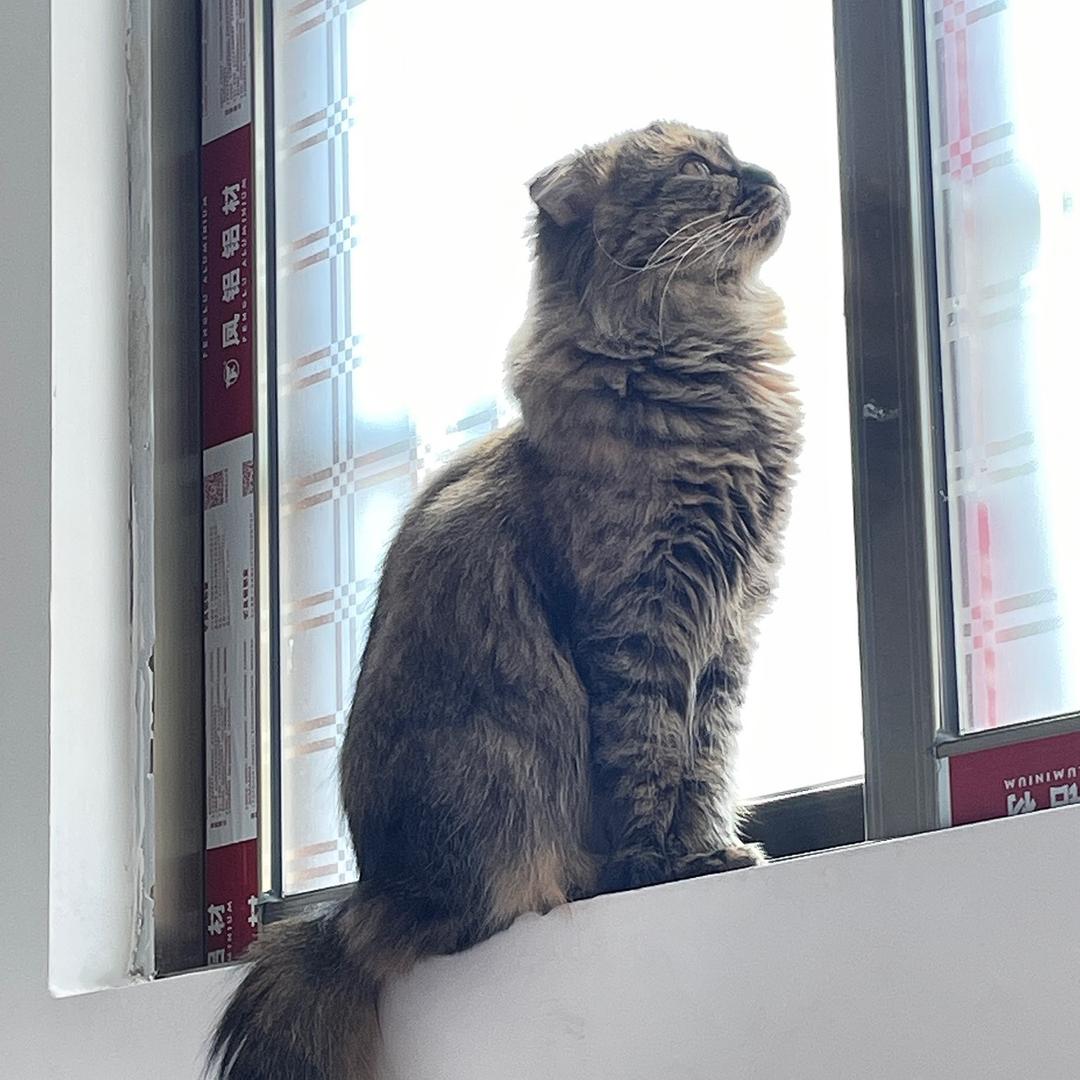 劉潔