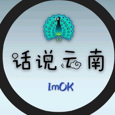 话说云南