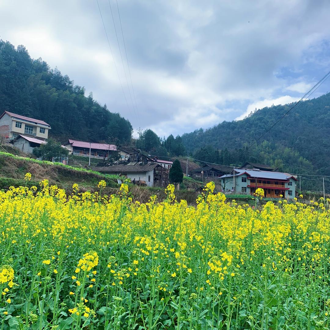 小邓在家乡