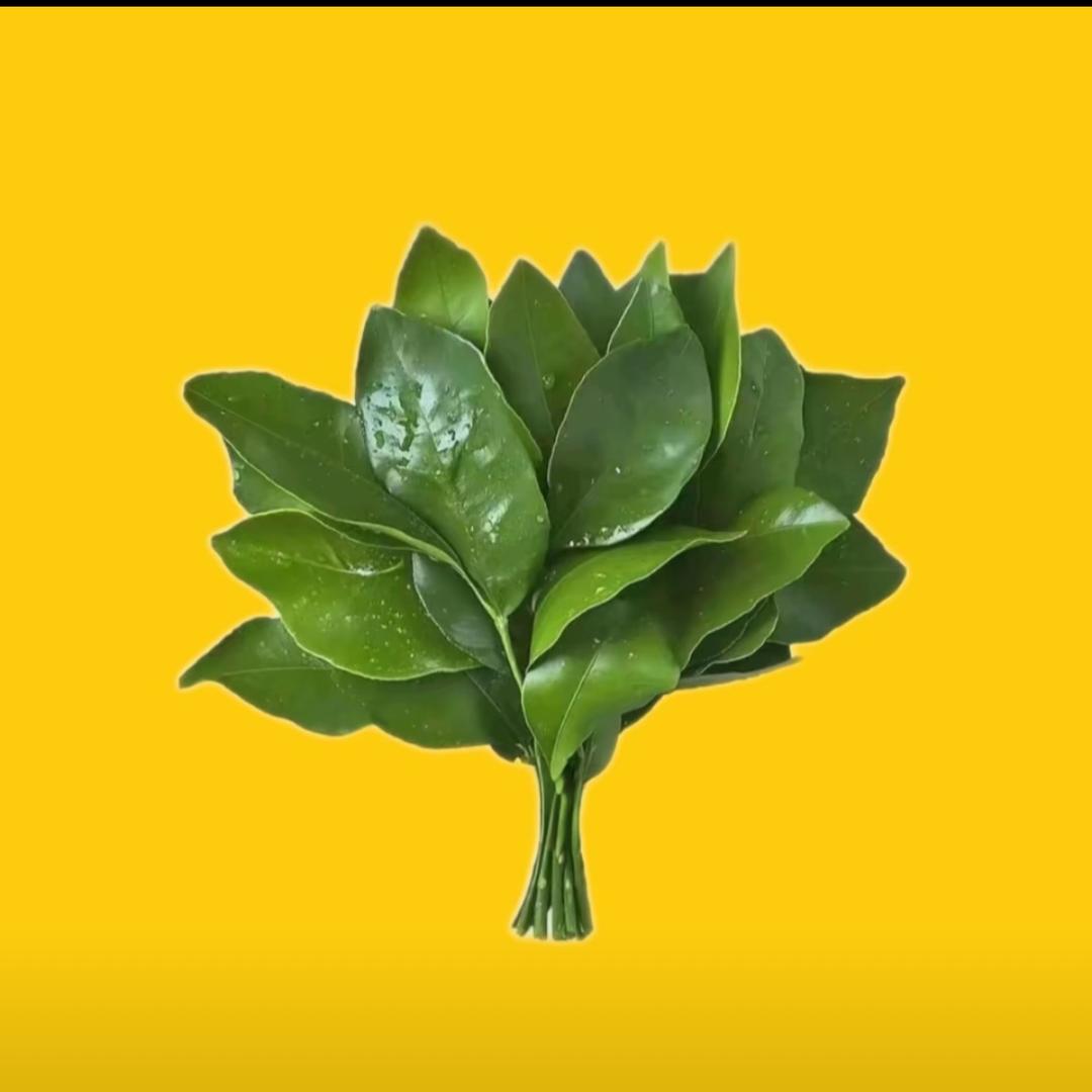 梨涡🌱