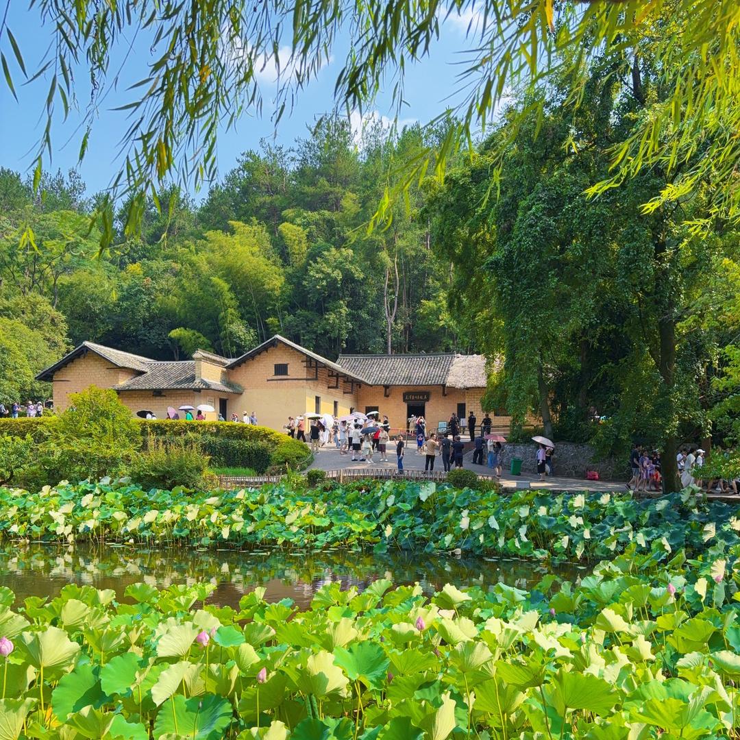 韶山冲向导