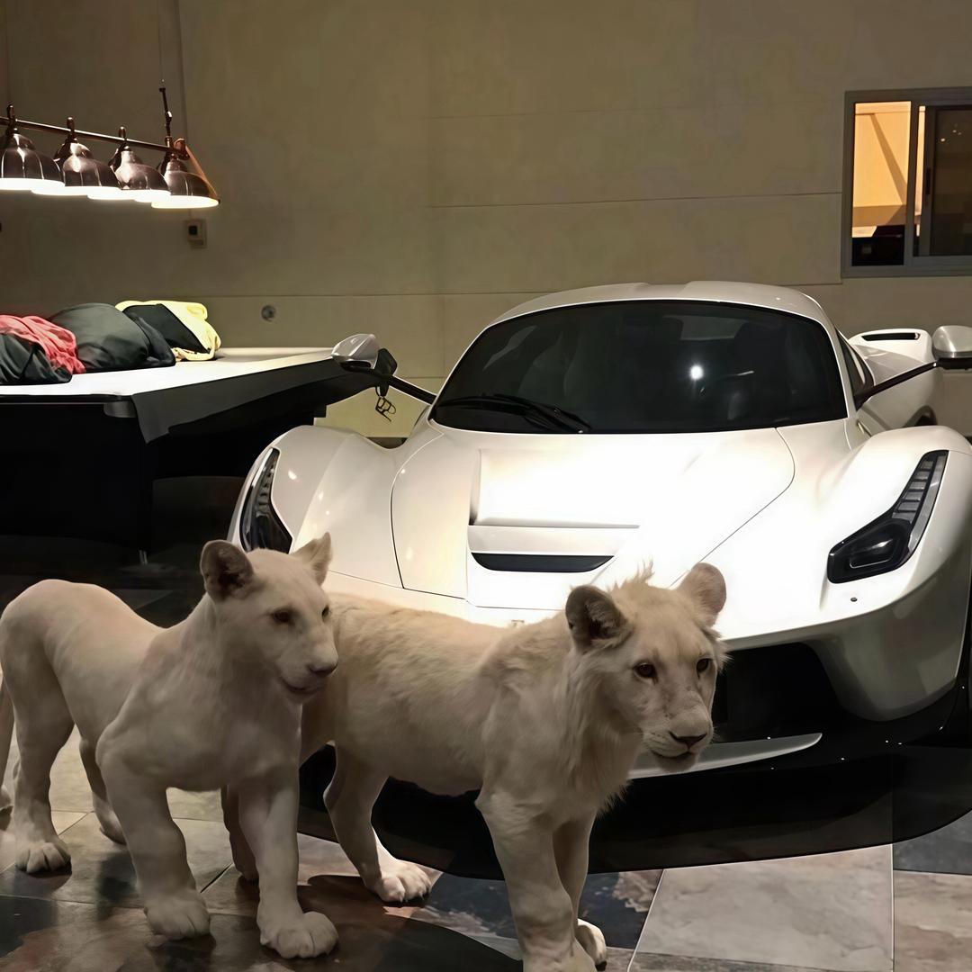 阿迷