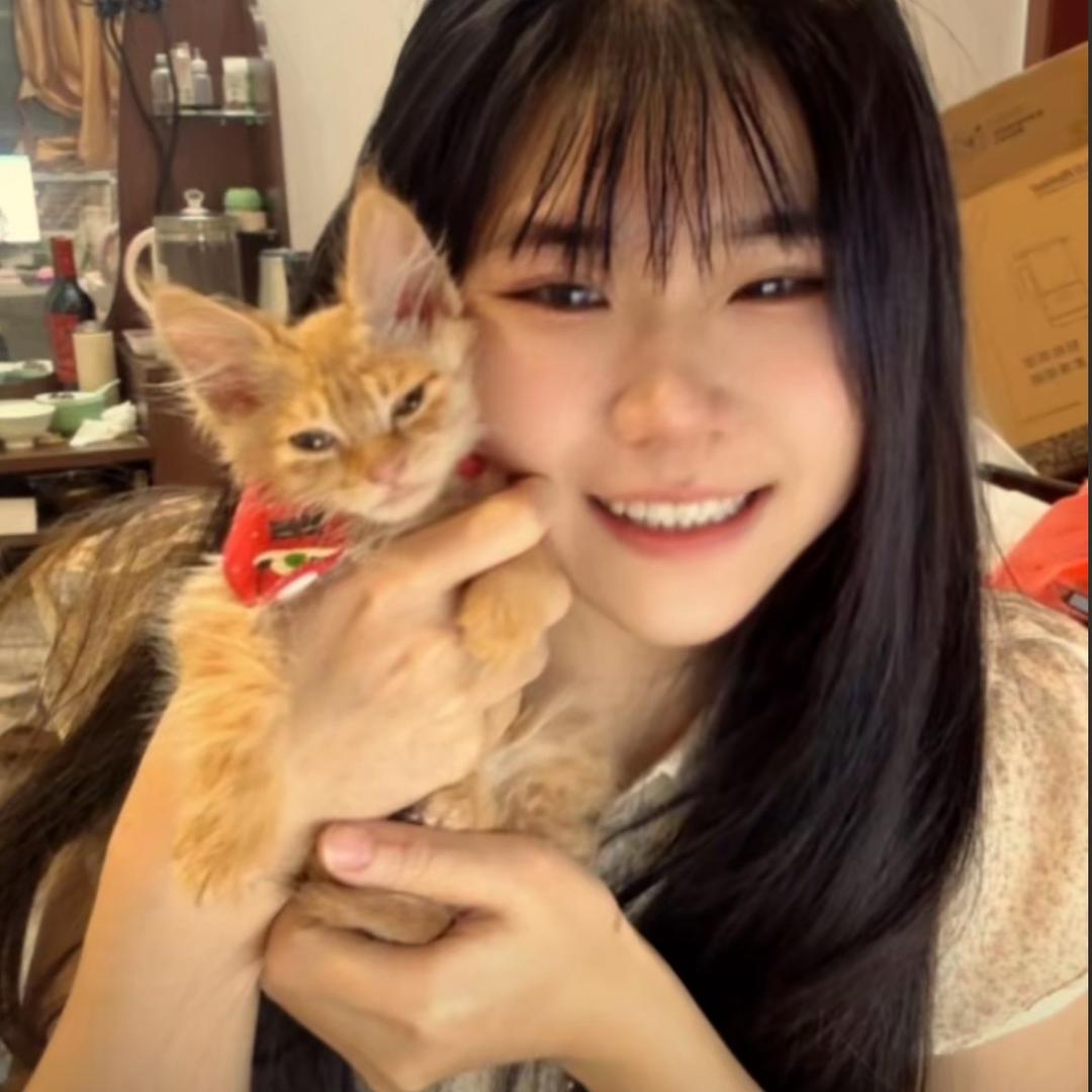 宠宝拉
