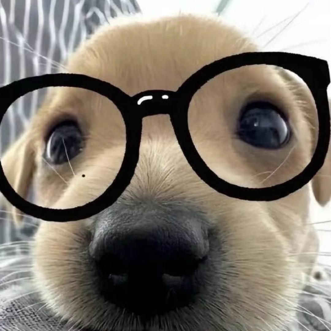 silv_riraaa