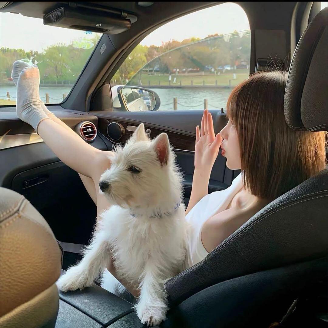 一只慧