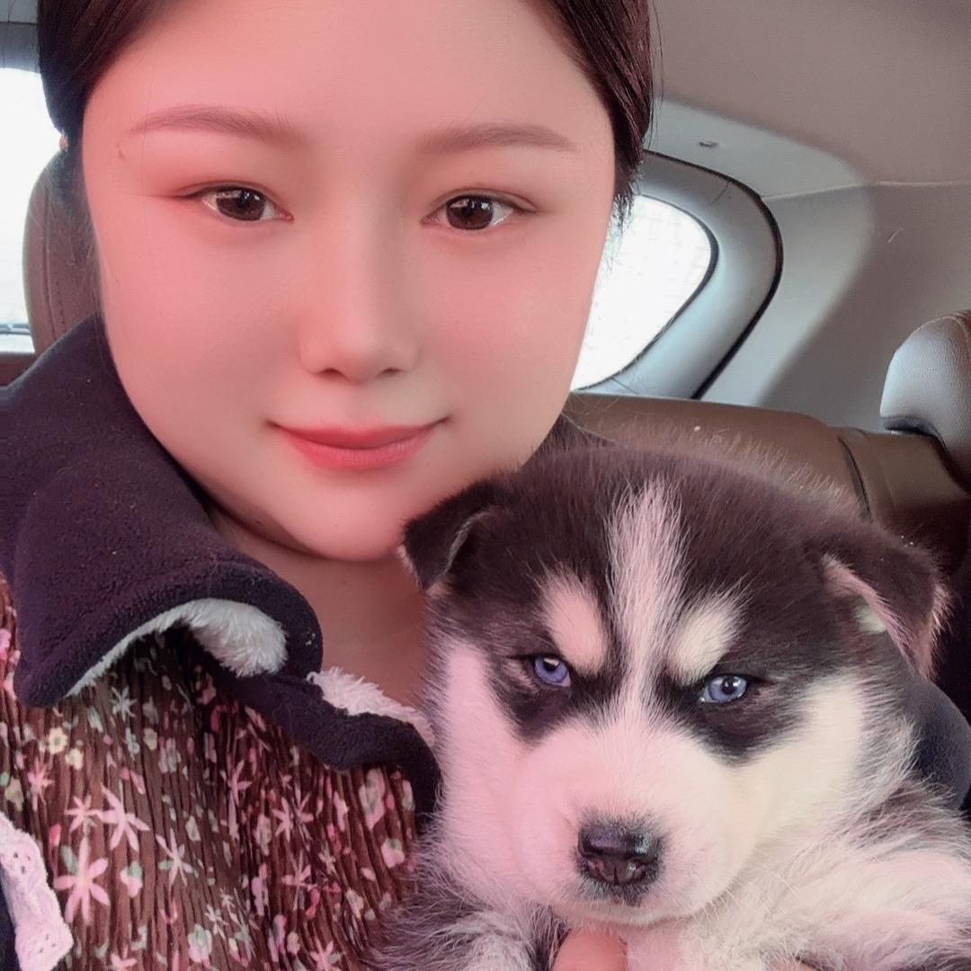 娜姐逛狗市(代淘100)