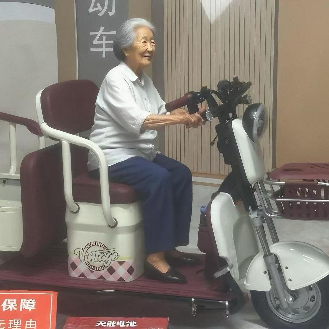 飞野芸电动车专卖店