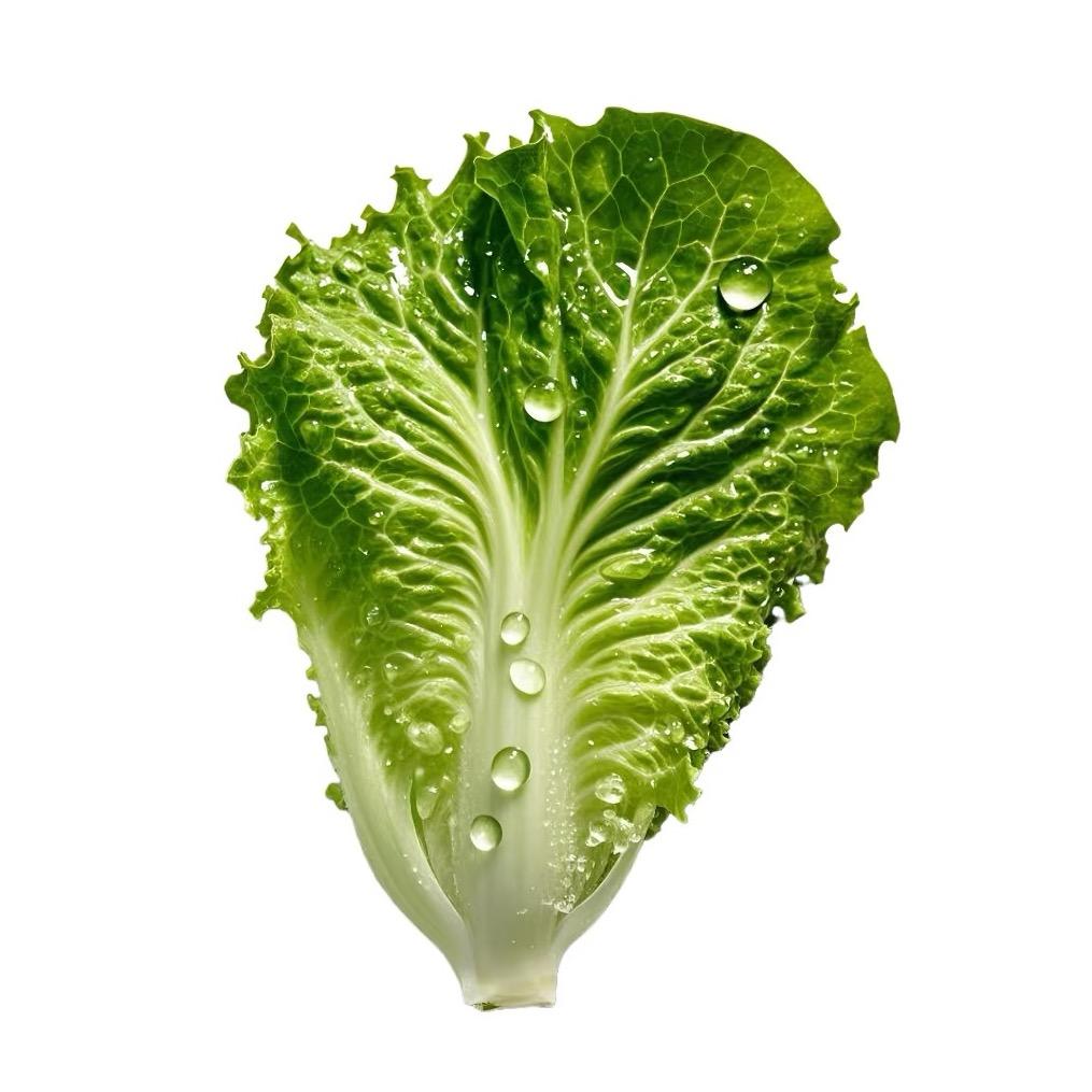 ee