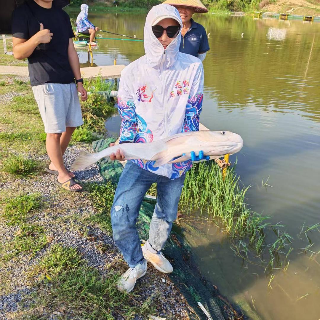 木易杨
