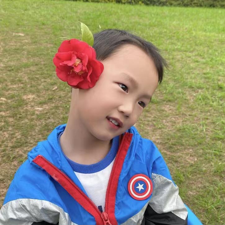嘉木辞歌