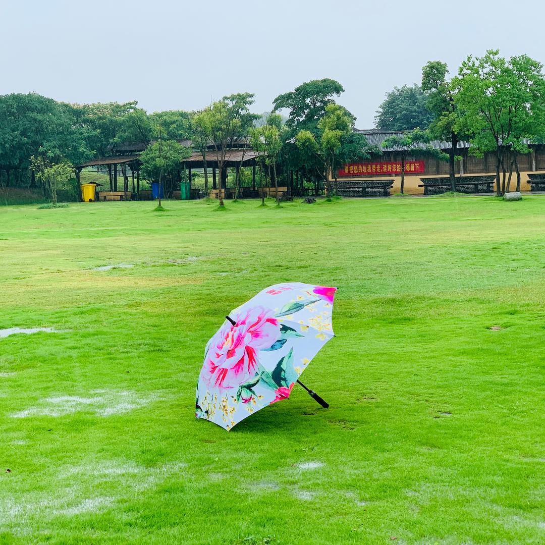 ☁️梦蝶