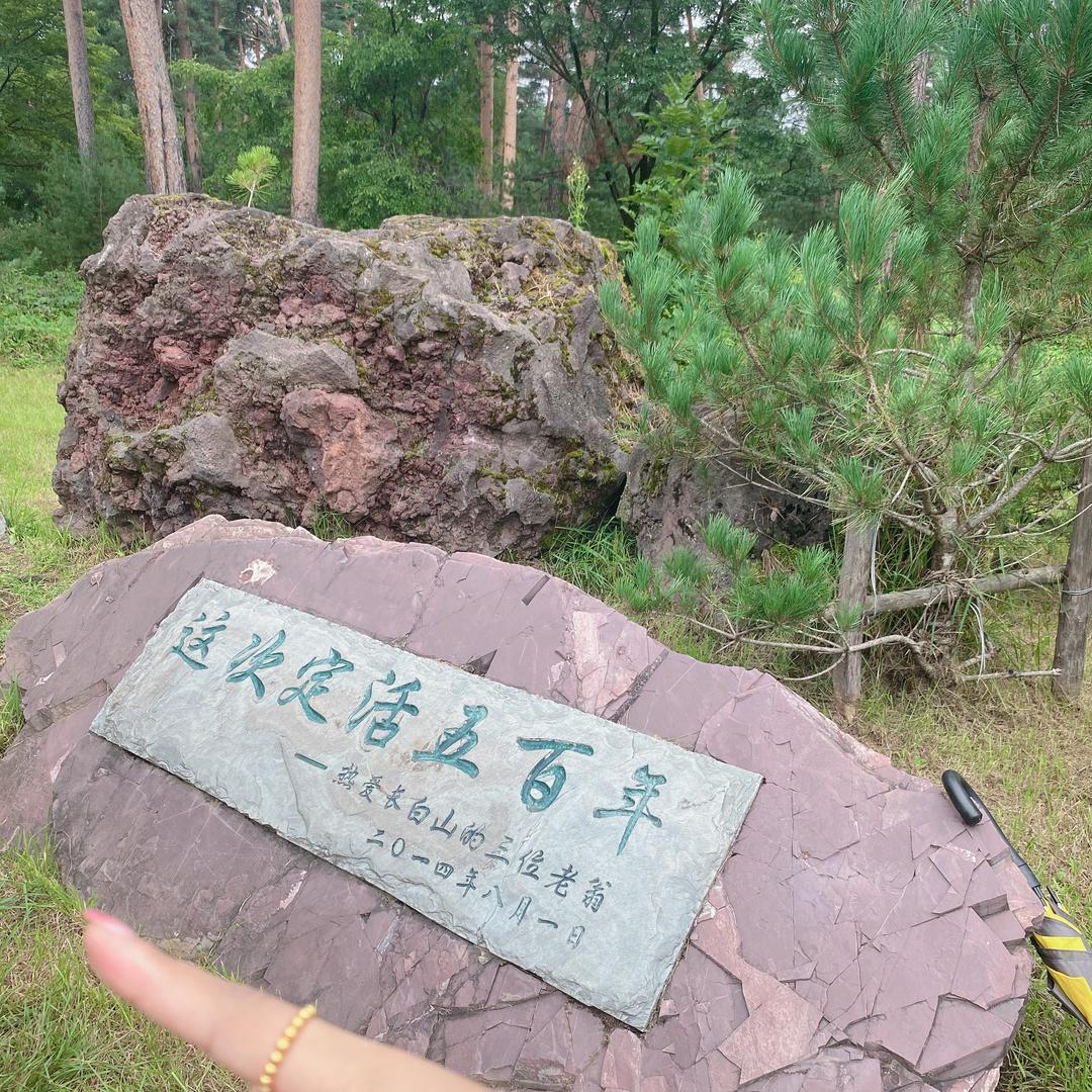 鳃鳃7821
