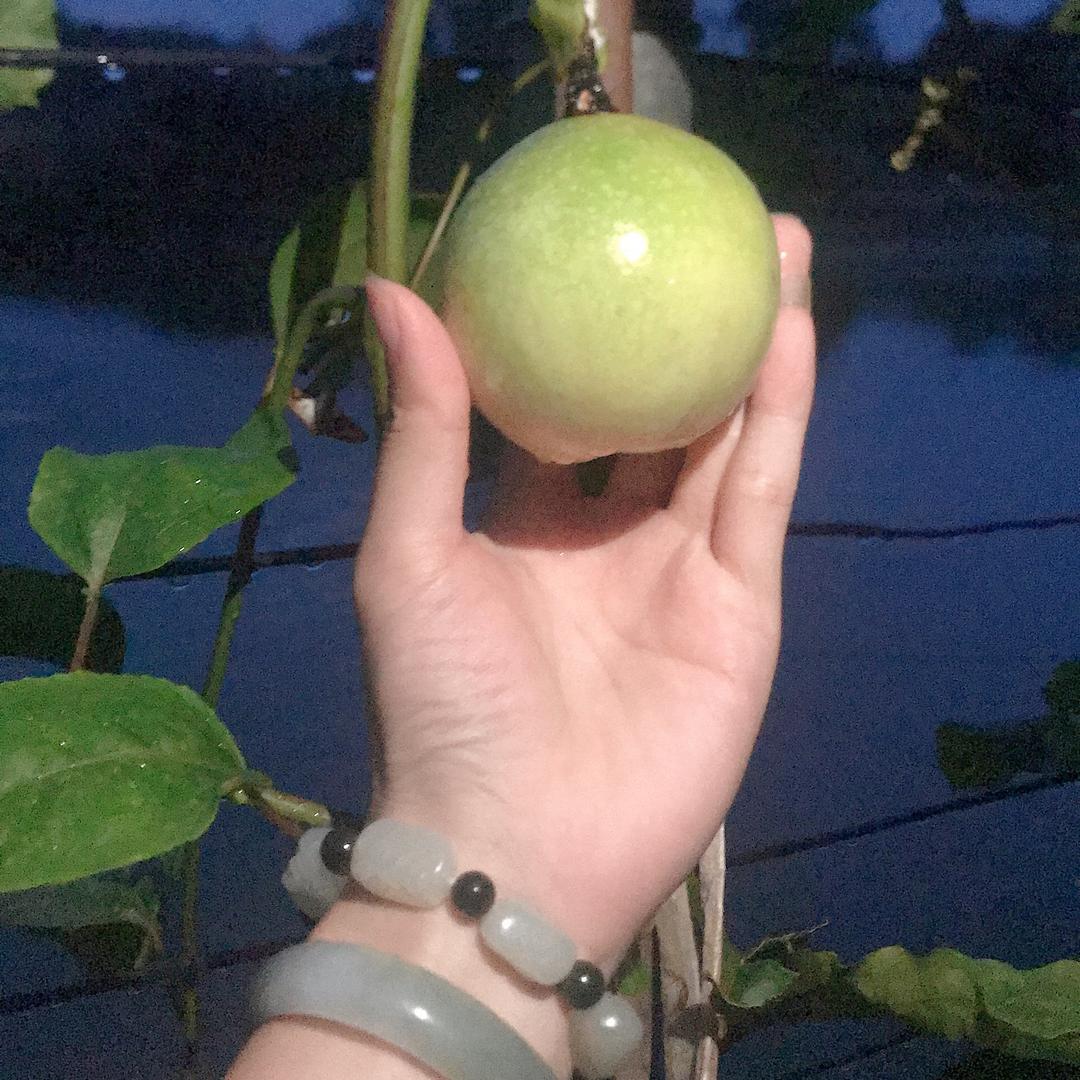 🫧丘丘