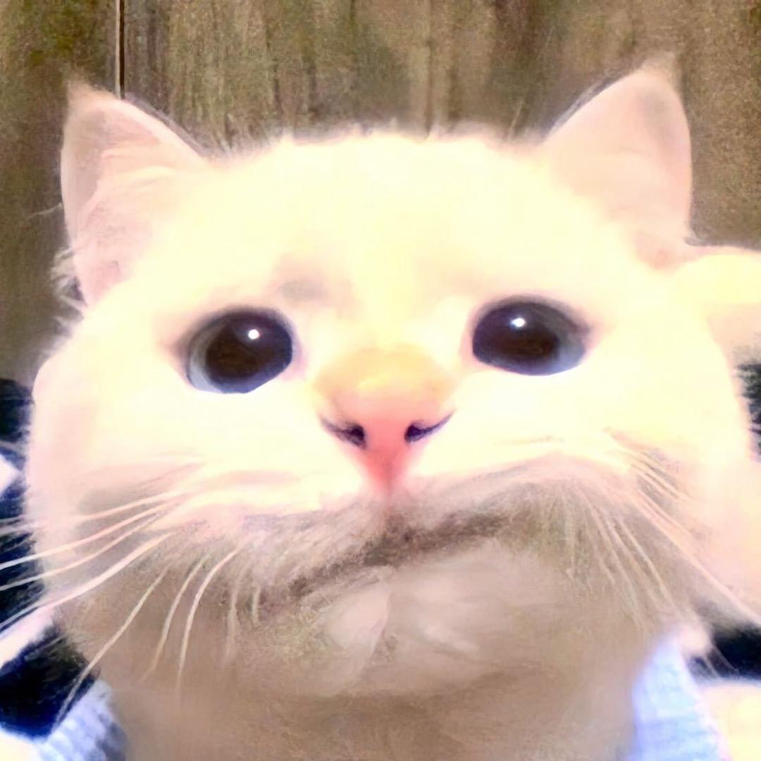 买迪