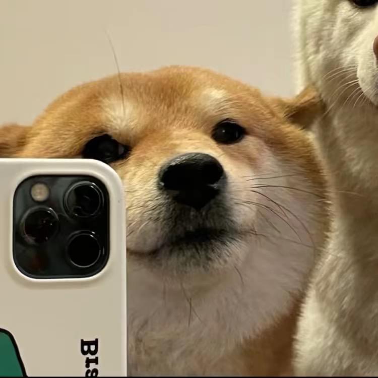 那份情.