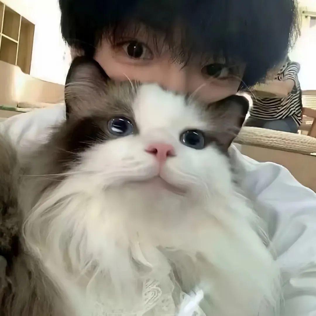 伤無