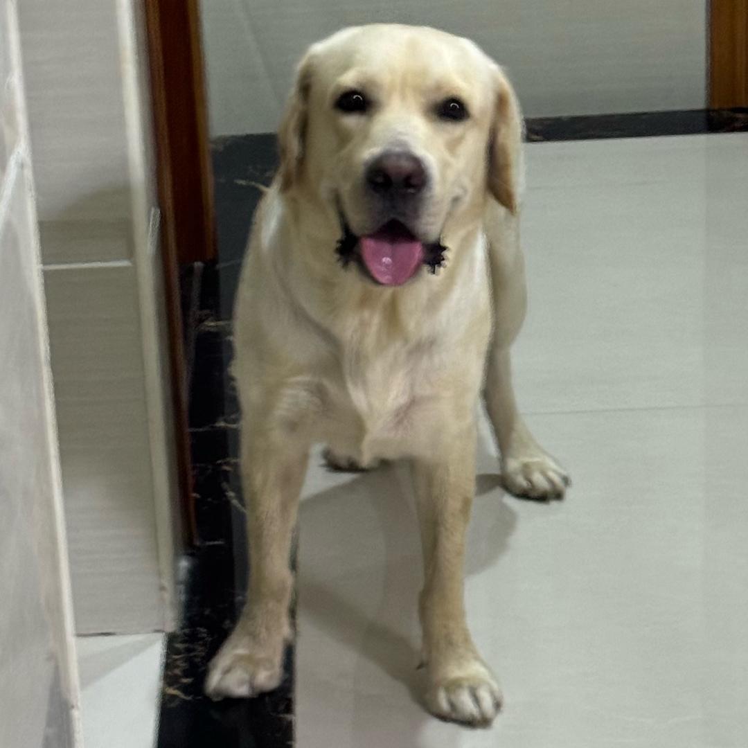 帅哥是我只说一次