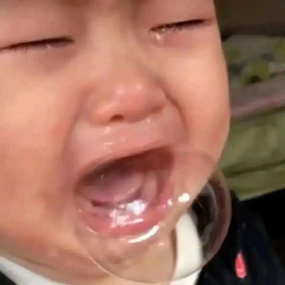 翻斗花园壮壮妈