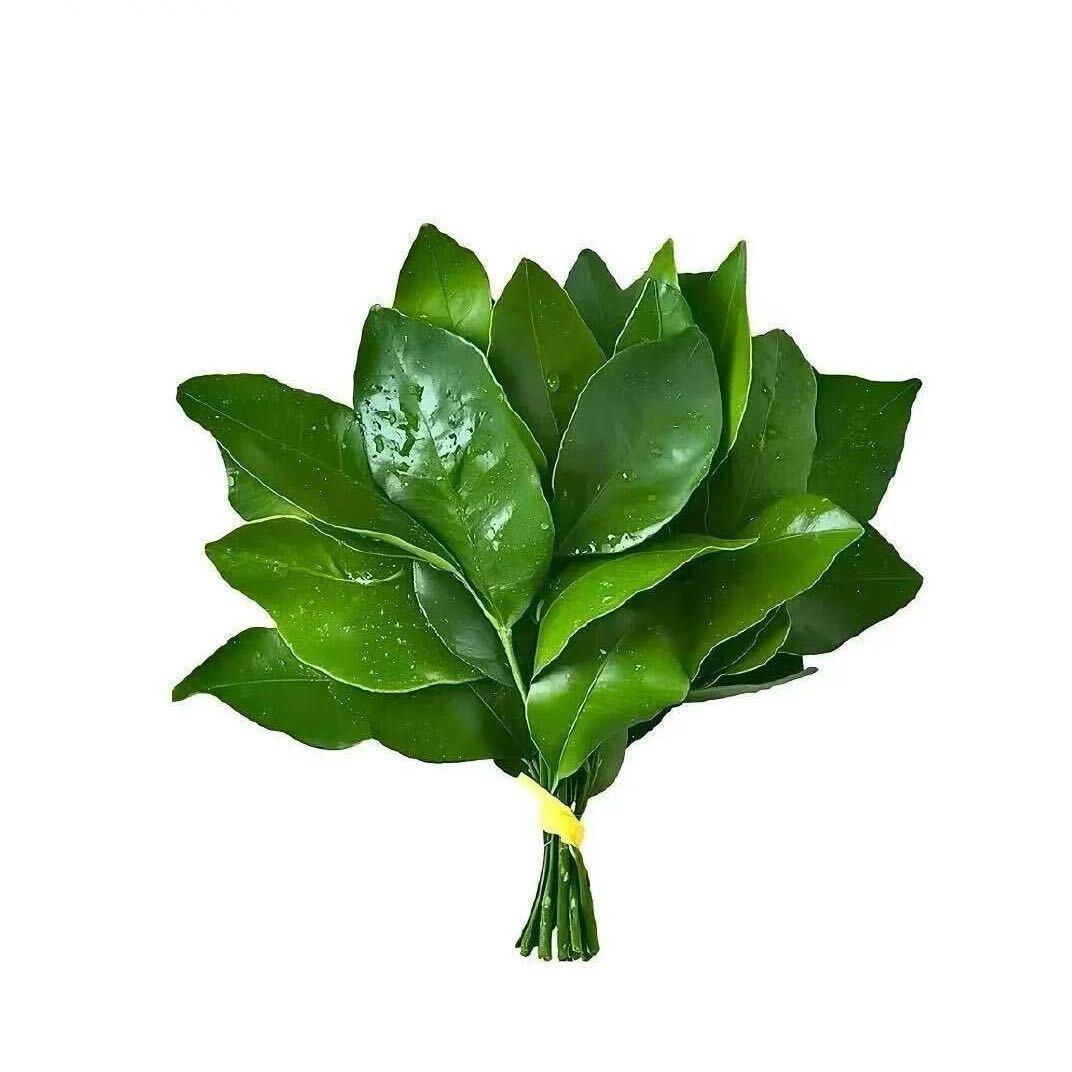 是承承吖🐣